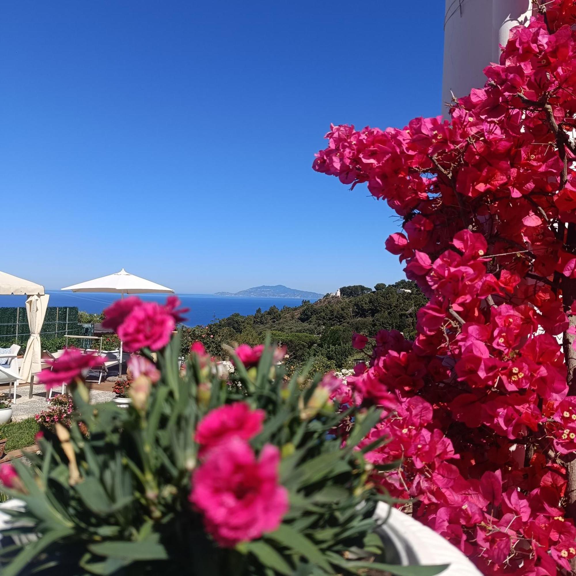 La Campagnola Appartement Anacapri  Buitenkant foto
