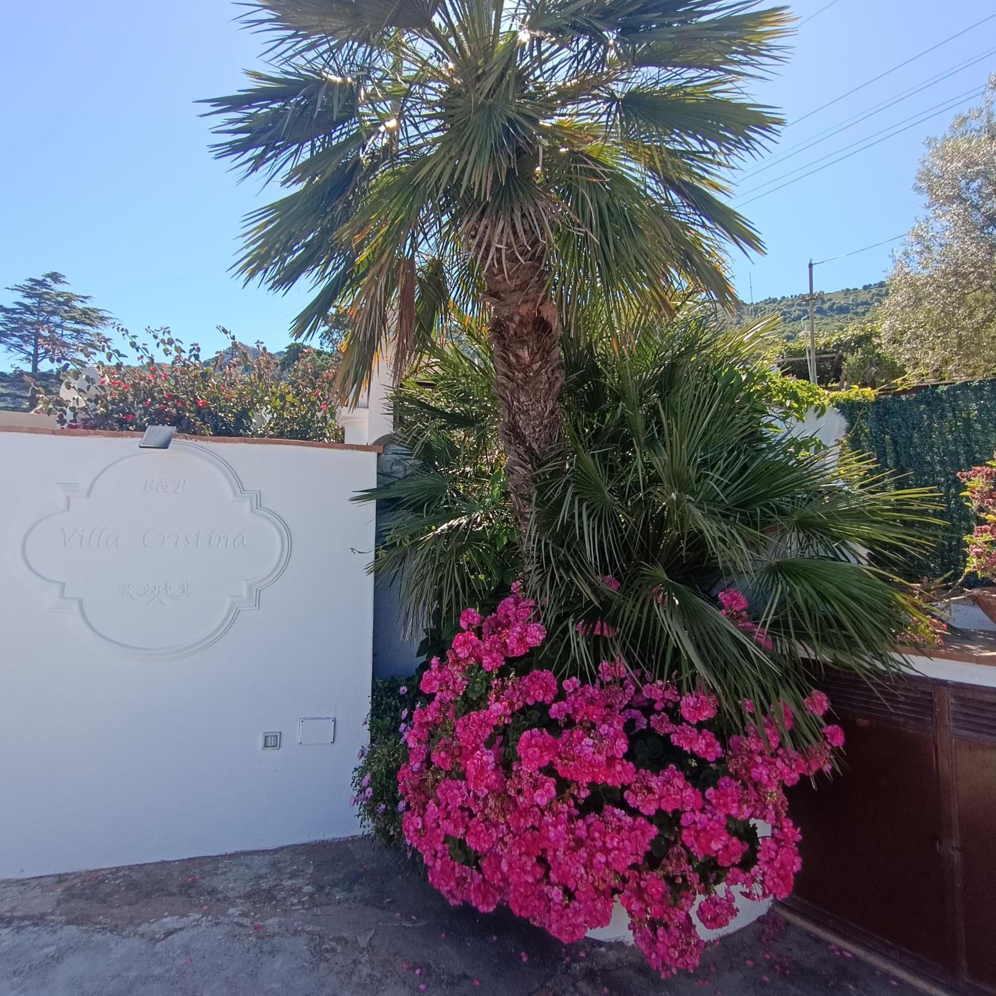 La Campagnola Appartement Anacapri  Buitenkant foto